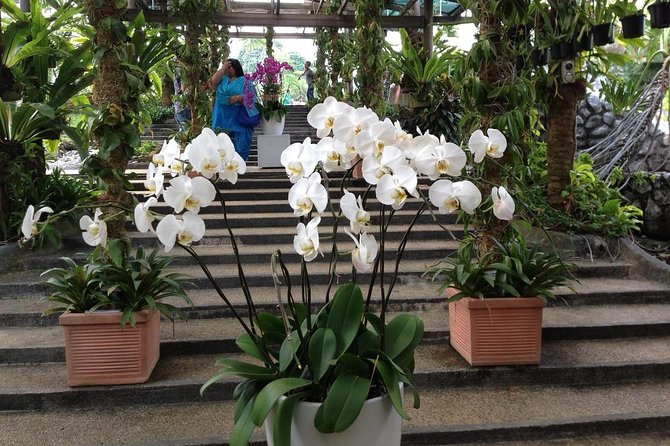 Bird Park & Butterfly Farm Nature Include All Entrance Tour From Kuala Lumpur - Taman Orkid Kuala Lumpur: a final stop among 800 orchid varieties