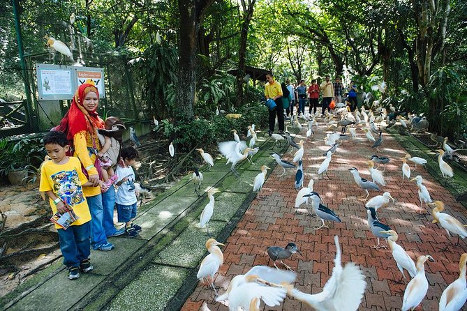 Bird Park & Butterfly Farm Nature Include All Entrance Tour From Kuala Lumpur - Is $74 per person fair?