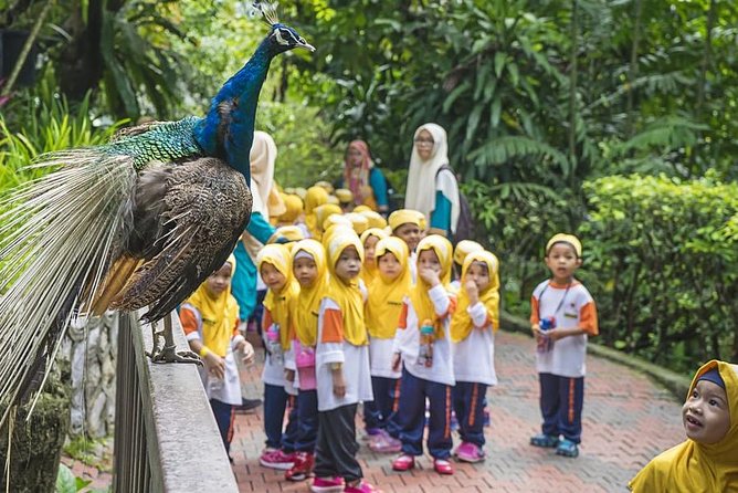 Bird Park & Butterfly Farm Nature Tour From Kuala Lumpur - Why the bird park is the main event