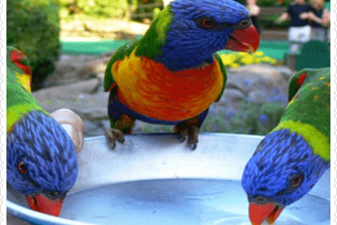 Bird Sanctuary and animal farm Day Tour - Key points to know before you book