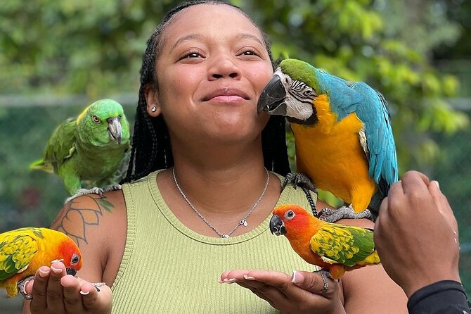 Bird Sanctuary and animal farm Day Tour - A small sanctuary with a relaxed garden walk