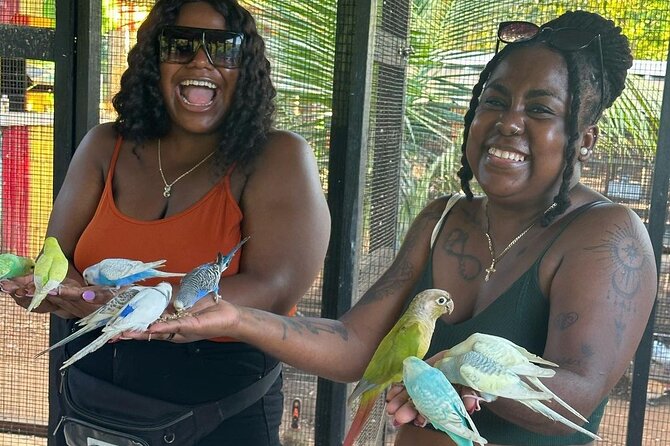 Bird Sanctuary and animal farm Day Tour - Guides Tajay and Andre can make the drive part of the tour