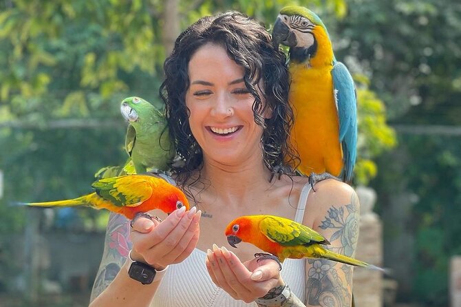 Bird Sanctuary and animal farm Day Tour - What the three-hour schedule means in practice