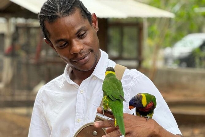 Bird Sanctuary and Montego Bay City Tour - Key points to know before you book