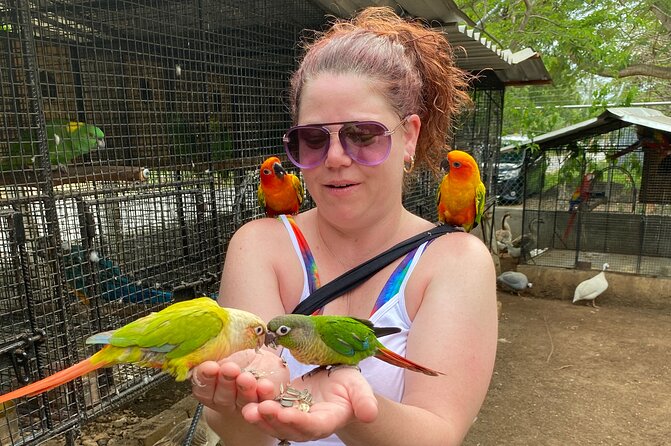 Bird Sanctuary and Montego Bay City Tour - Bean brings practical help as well as local knowledge