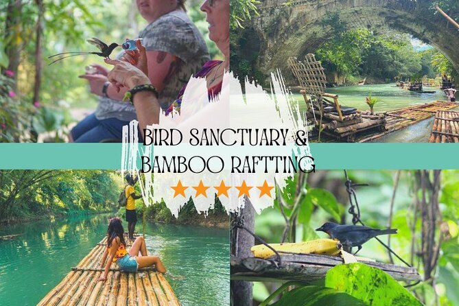 Bird Sanctuary and/or Lethe Bamboo Rafting from Montego Bay - Rocklands Bird Sanctuary: Jamaica’s closest bird encounter
