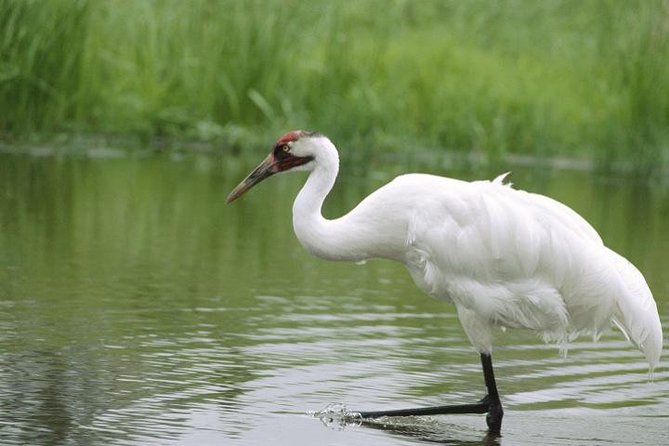 Bird Sanctuary, Bharatpur & Taj Mahal, Agra Day Tour from Delhi - Arriving in Agra before the Taj Mahal