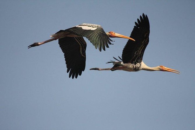 Bird Sanctuary, Bharatpur & Taj Mahal, Agra Day Tour from Delhi - Who will get the most from this day