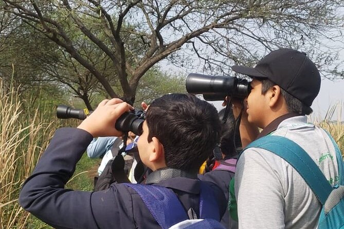 Bird Watching at Nandur Madhyameshwar Wildlife Sanctuary Nashik - Why Nandur Madhyameshwar is worth your morning