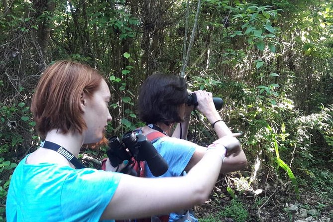Bird watching ecofriendly tour from Cancun & Riviera Maya - Safety and health procedures