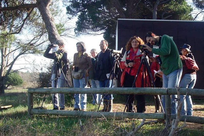 Bird Watching in Albufeira Lagoon - Price, value, and what is included