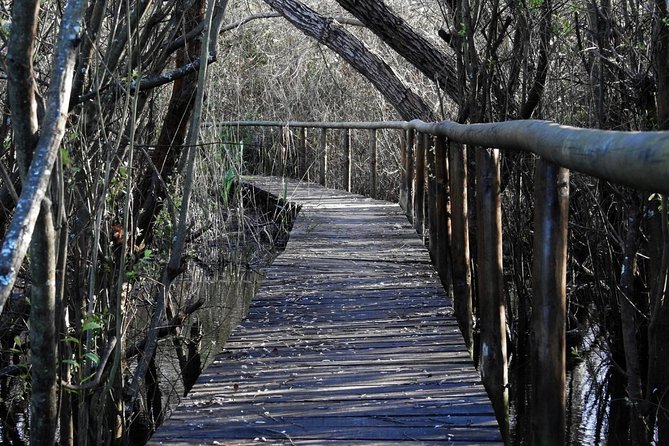 Bird Watching in Albufeira Lagoon - Practical planning before you go