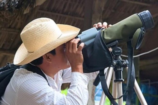 Bird watching in La Mancha - Why La Mancha rewards a 5:30 a.m. start