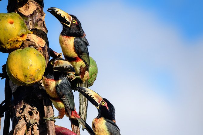 Bird Watching in Sian Ka´an Muyil - Adding the lagoon boat and lazy river float