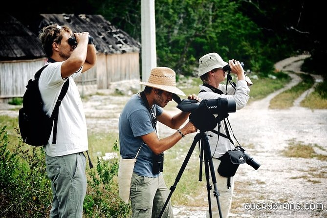 Bird Watching in Sian Ka´an Muyil - Is $119 a fair price?