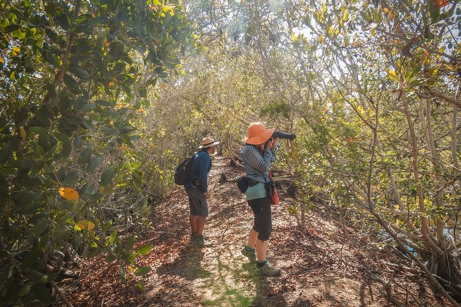 Bird Watching Mazatlán - Birding Tour - Key points at a glance