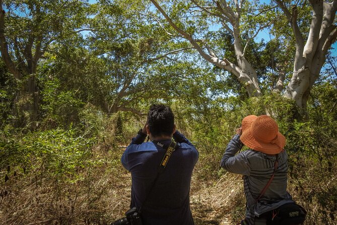 Bird Watching Mazatlán - Birding Tour - Who should book this Mazatlán birding experience?