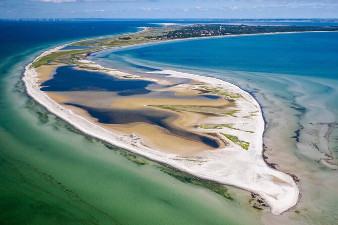 Bird Watching Private Tour in Copenhagen - What this Copenhagen birding tour is really like
