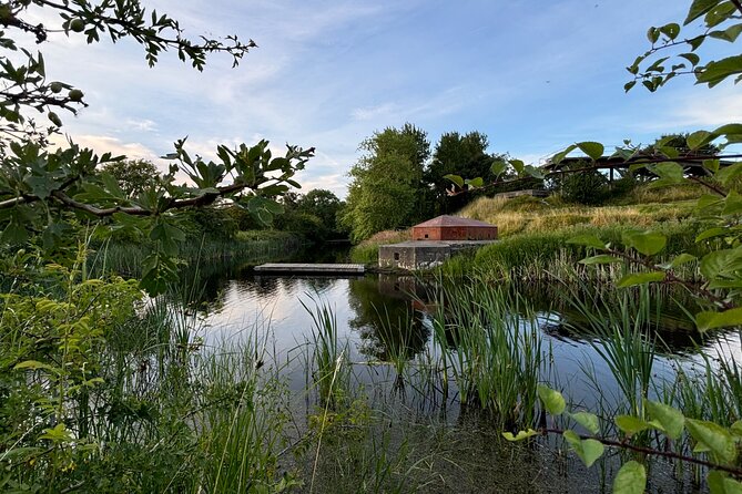 Bird Watching Private Tour in Copenhagen - Coffee, tea, and the rhythm of five hours
