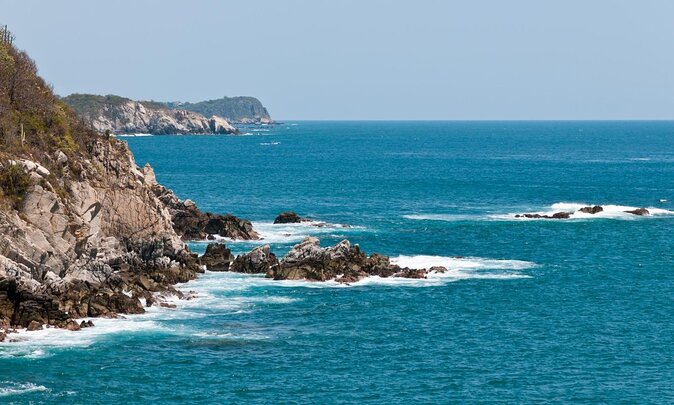 Bird Watching Tour Huatulco HT - What makes this Huatulco bird tour worth considering
