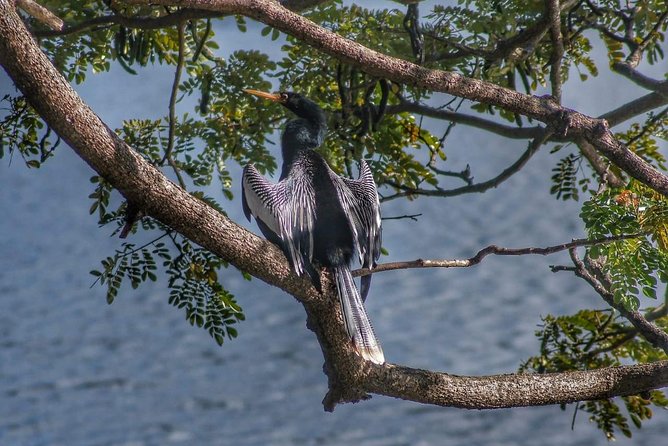 Bird Watching Tours - Waterfalls and the extra nature stops