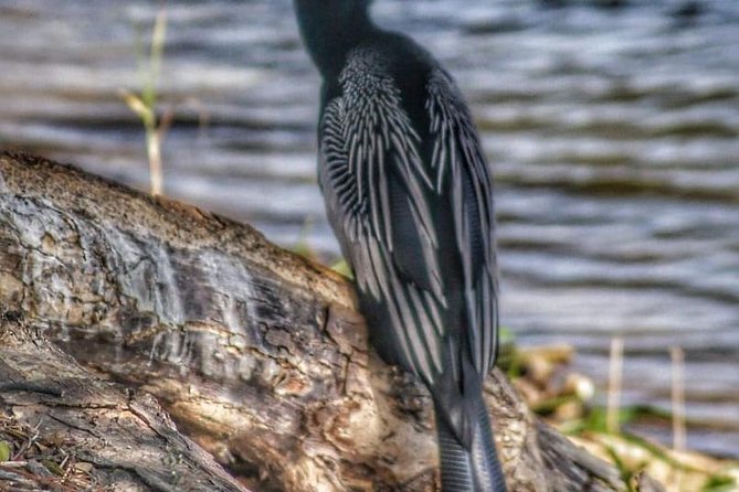 Bird Watching Tours - Why the small group matters for bird watching
