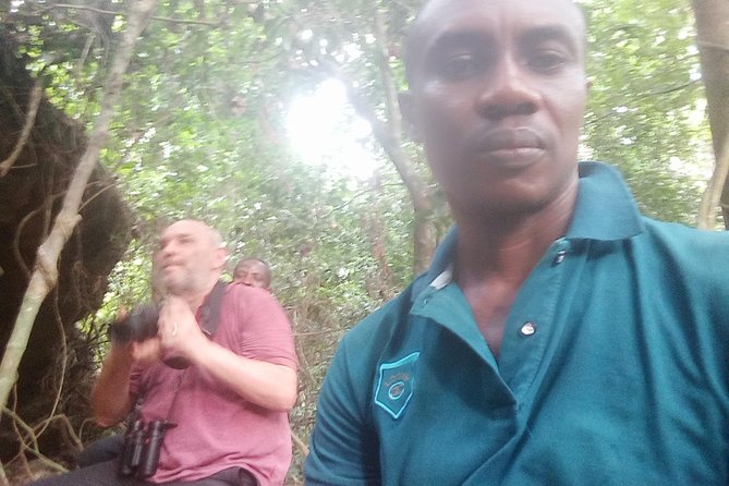 Bird watching tours , cultural and historical tours of Ghana. - Kakum National Park and the Canopy Walkway