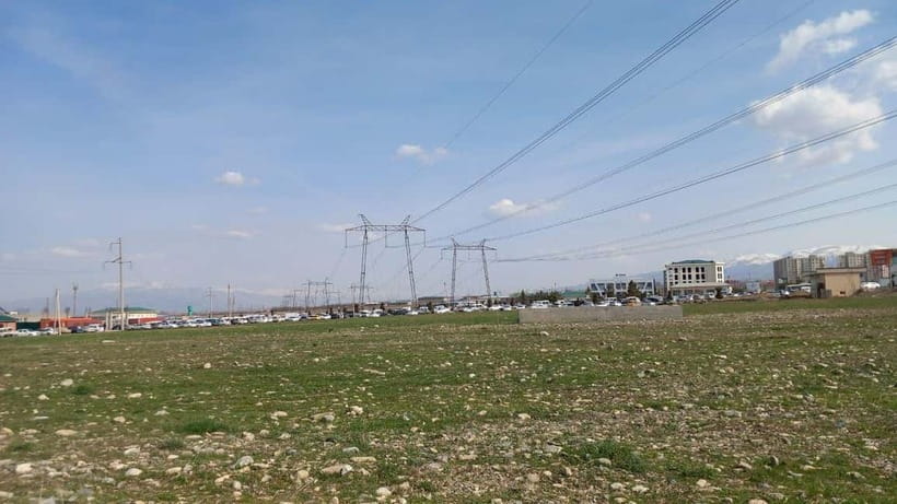 Bird Watching Tours in Samarkand - Lunch and the change to Aqdarya