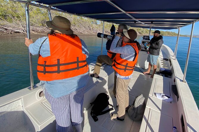 Birding By Sea and Land 4hr. La Paz Mexico - Key points to know before you book