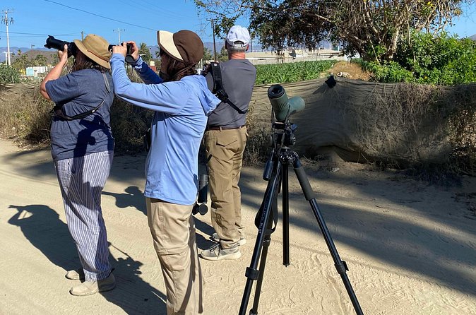 Birding By Sea and Land 4hr. La Paz Mexico - The rancho habitat and land birding