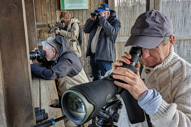 Birding Costa del Sol Day tour - Guadalhorce Estuary: The Main Event