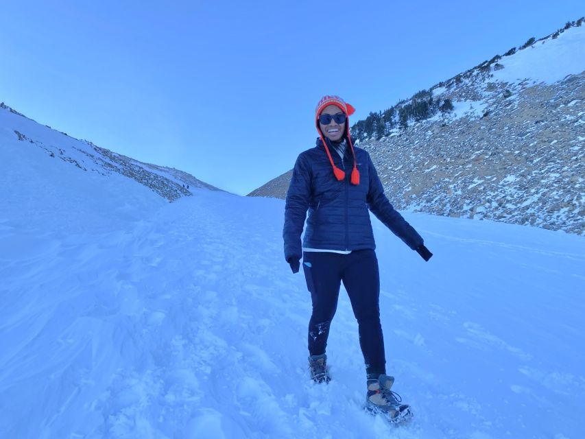 Birding Hike and Hot Spring Soak from Denver - From Denver to spruce-fir country