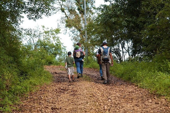 Birding Hike: Day Birdwatching in Kathmandu - Key points at a glance