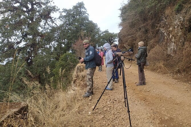 Birding Hike: Day Birdwatching in Kathmandu - Why the Kathmandu Valley works for a birding day