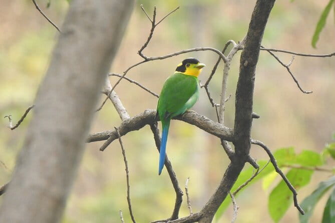 Birding Hike: Day Birdwatching in Kathmandu - What the day can feel like on the trail