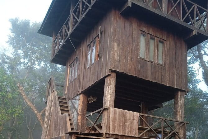Birding Hike: Day Birdwatching in Kathmandu - Bird species, sound, and patient observation