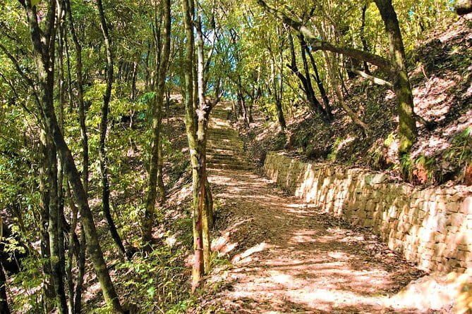Birding Hike: Day Birdwatching in Kathmandu - Practical details before you book