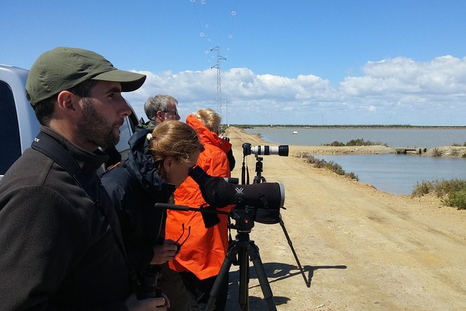 Birding & Photography Day Trip to Doñana from Seville - Why Doñana makes a worthwhile day from Seville