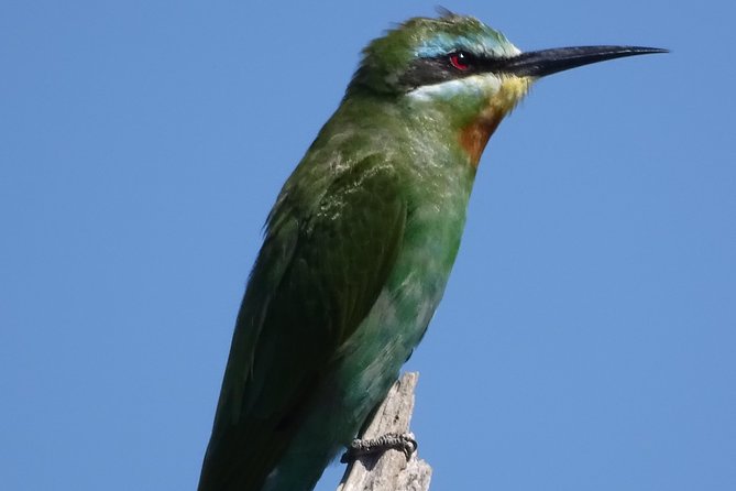 Birding Safari Experience in Livingstone - MINIMUM 2 PEOPLE - Walking near the river