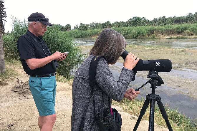 Birding San Jose Estuary Los Cabos Mexico - Key points before you book