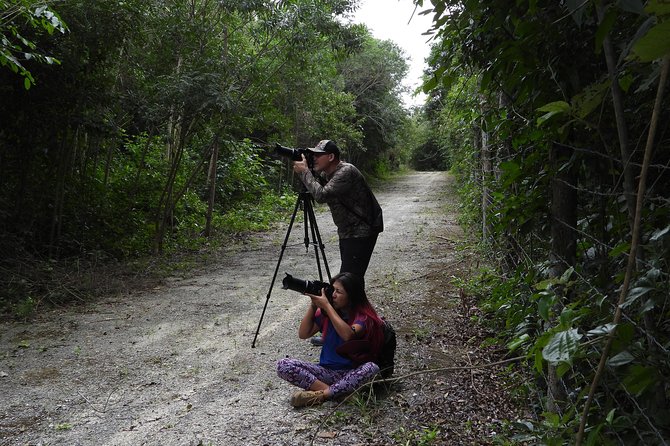 Birds of the Mayan World 2 / Route of the cenotes - José’s Botany and Mayan Knowledge