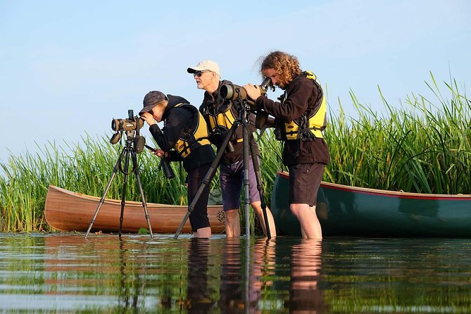 BIRDWATCH - Premium guided canoe tour at Cape Vente, Nemunas Delta Regional Park - Why Cape Vente works so well for canoe birdwatching