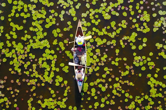 BIRDWATCH - Premium guided canoe tour at Cape Vente, Nemunas Delta Regional Park - Changing spots and taking photographs