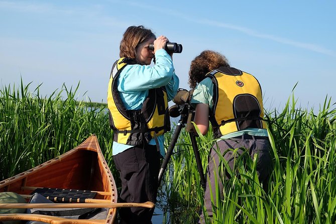 BIRDWATCH - Premium guided canoe tour at Cape Vente, Nemunas Delta Regional Park - The first 40 minutes on the water