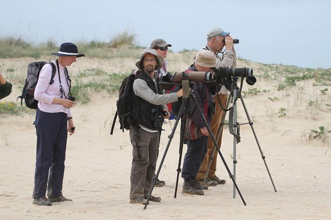 Birdwatching at Abicada and Alvor dunes - Why this Alvor birdwatching day works