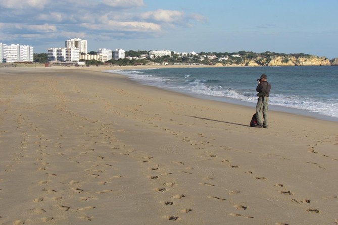 Birdwatching at Abicada and Alvor dunes - Watching birds across the Alvor wetland