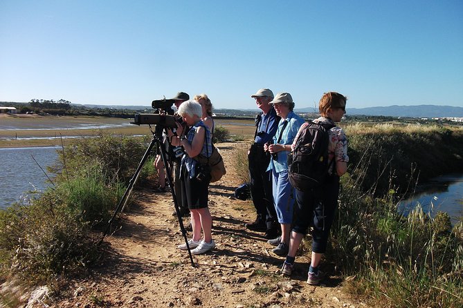 Birdwatching at Ria de Alvor - Key points to know before booking