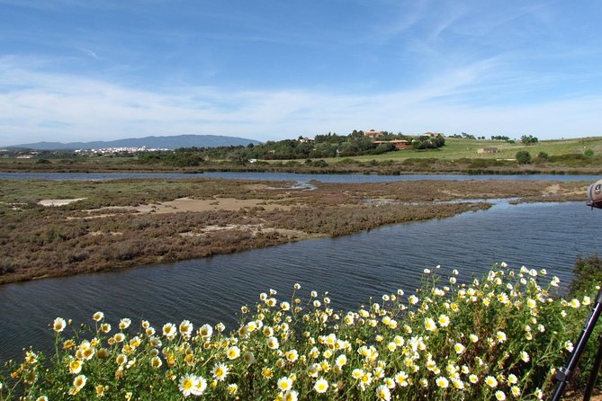 Birdwatching at Ria de Alvor - What you may see through the telescope