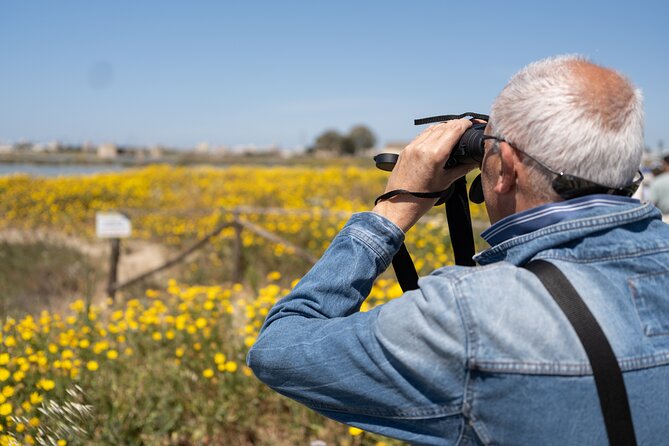 Birdwatching at Saline Maria Stella in Trapani - What the $21.76 price buys you