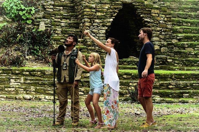Birdwatching at The Mayan Cities with certified guide - How the birdwatching works
